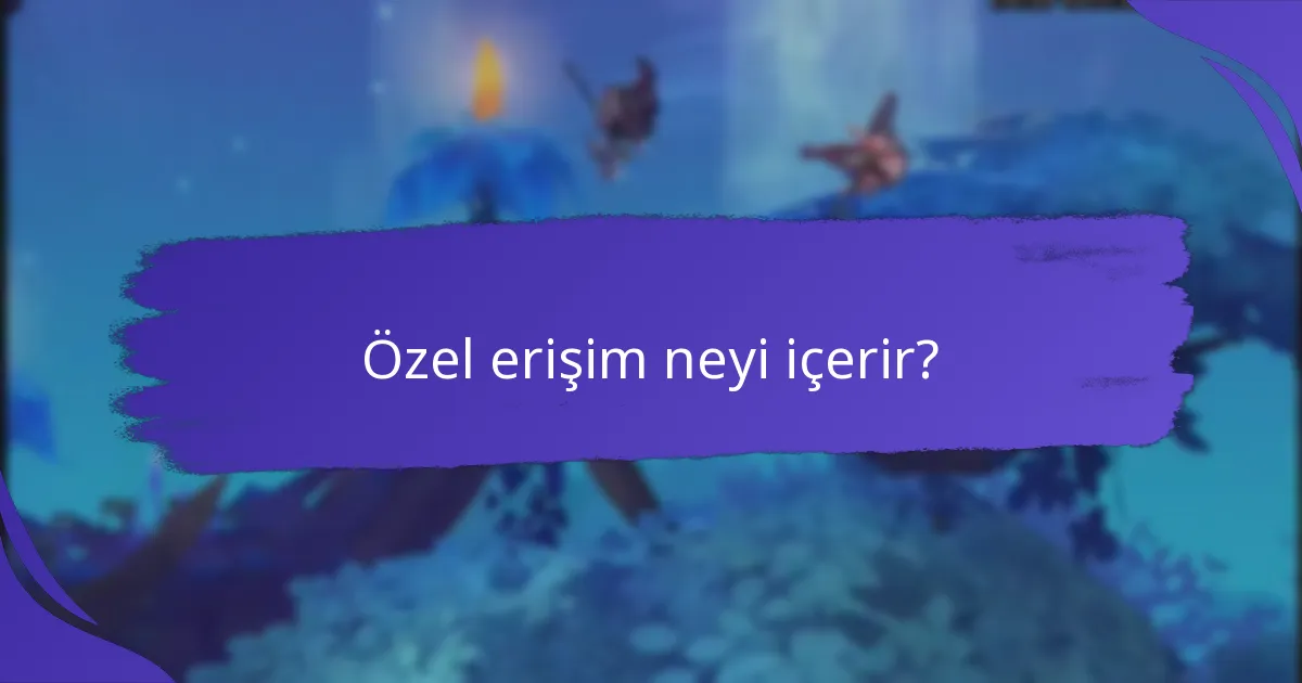 Özel erişim neyi içerir?